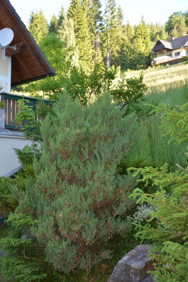 Ferienhaus Kristina/Hebalm Deutschlandsberg Exterior photo
